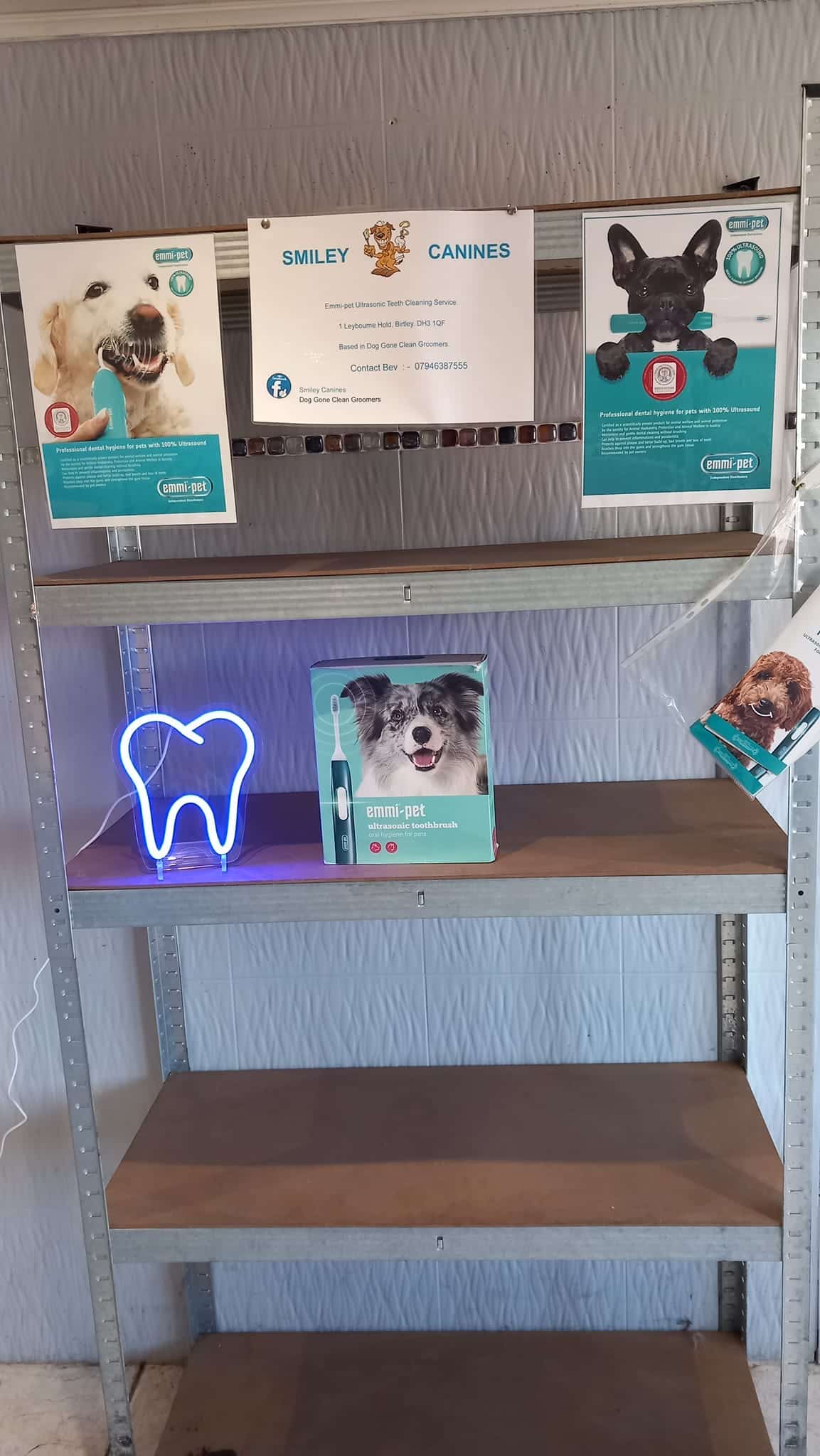 Success at Smiley Canines, a specialised oral care and maintenance treatment room > Image 9