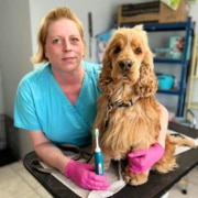 Success at Smiley Canines, a specialised oral care and maintenance treatment room > Image 1