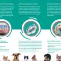 emmi®-pet Leaflets (Pack of 50) > Image 2