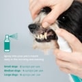 emmi-pet® Happy Dent Dental Spray, spray being used on dog's teeth