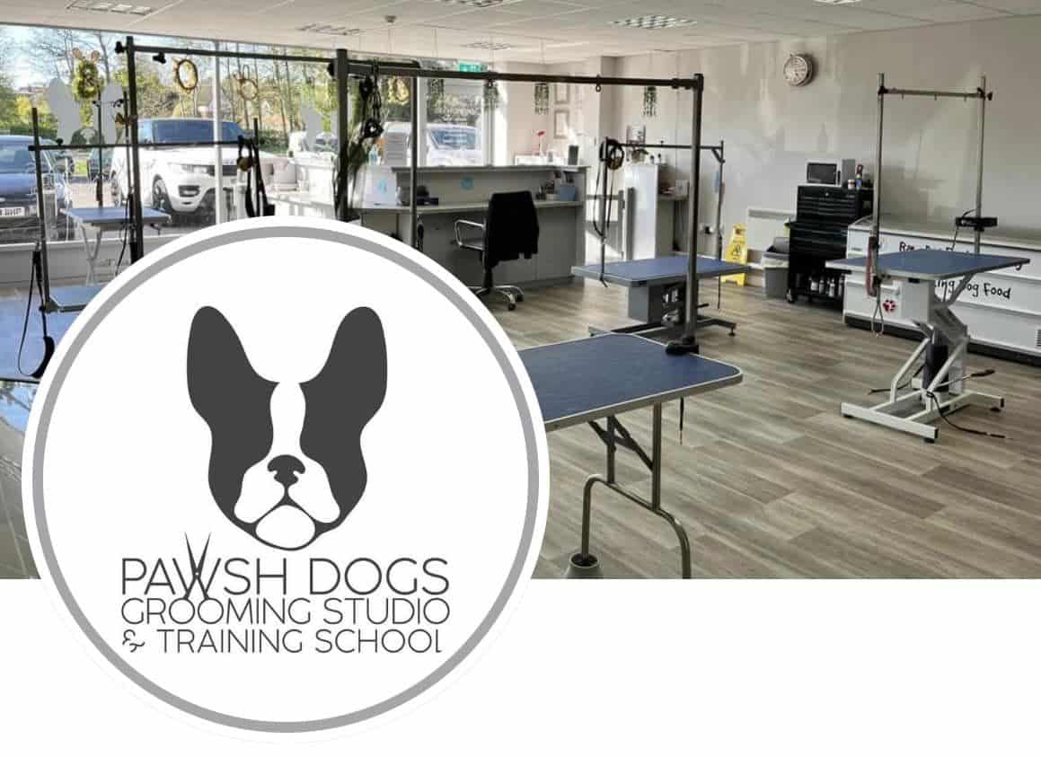 Pawsh Dogs Grooming Salon Trains their Staff to Implement emmi®-pet > Image 1