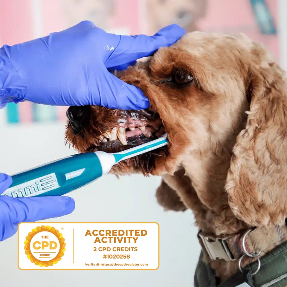 The-emmi®-pet-With-Integrity-Course
