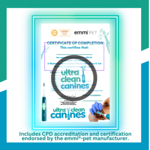 integrity certifcate info graphic