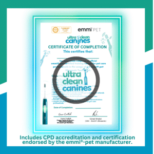 tookit certifcate info graphic