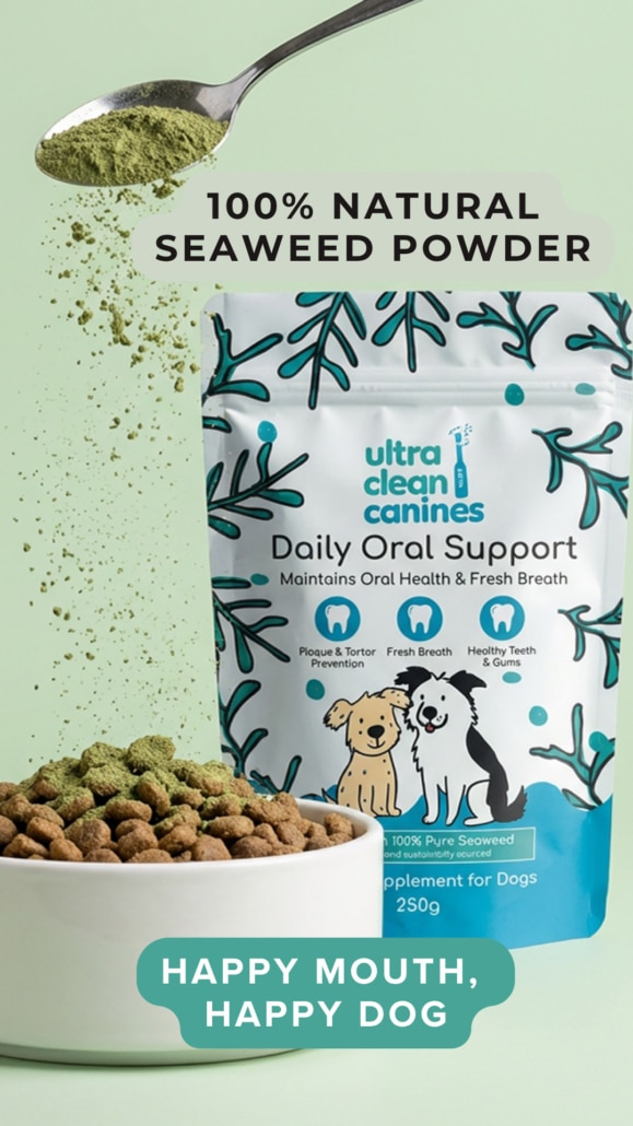 Oral Care Support Social Media Assets - 11